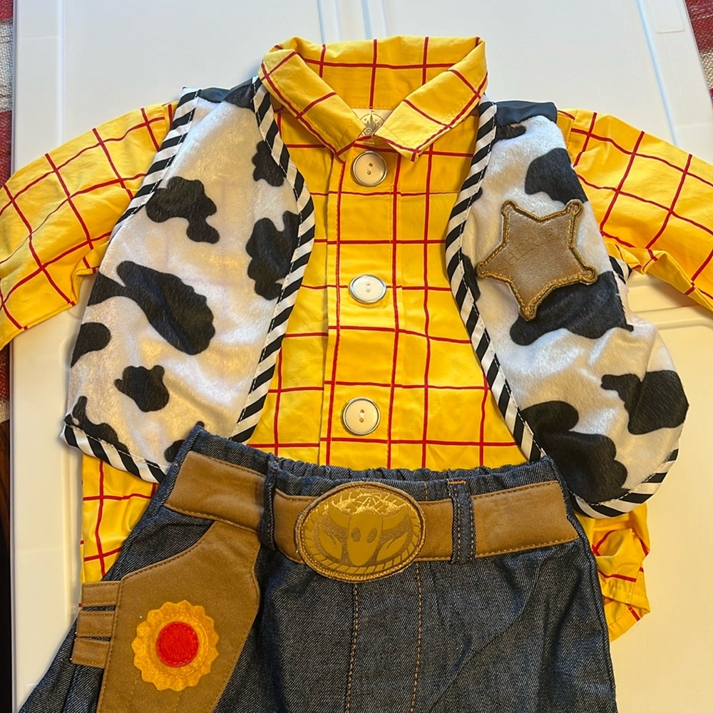 Woody Costume